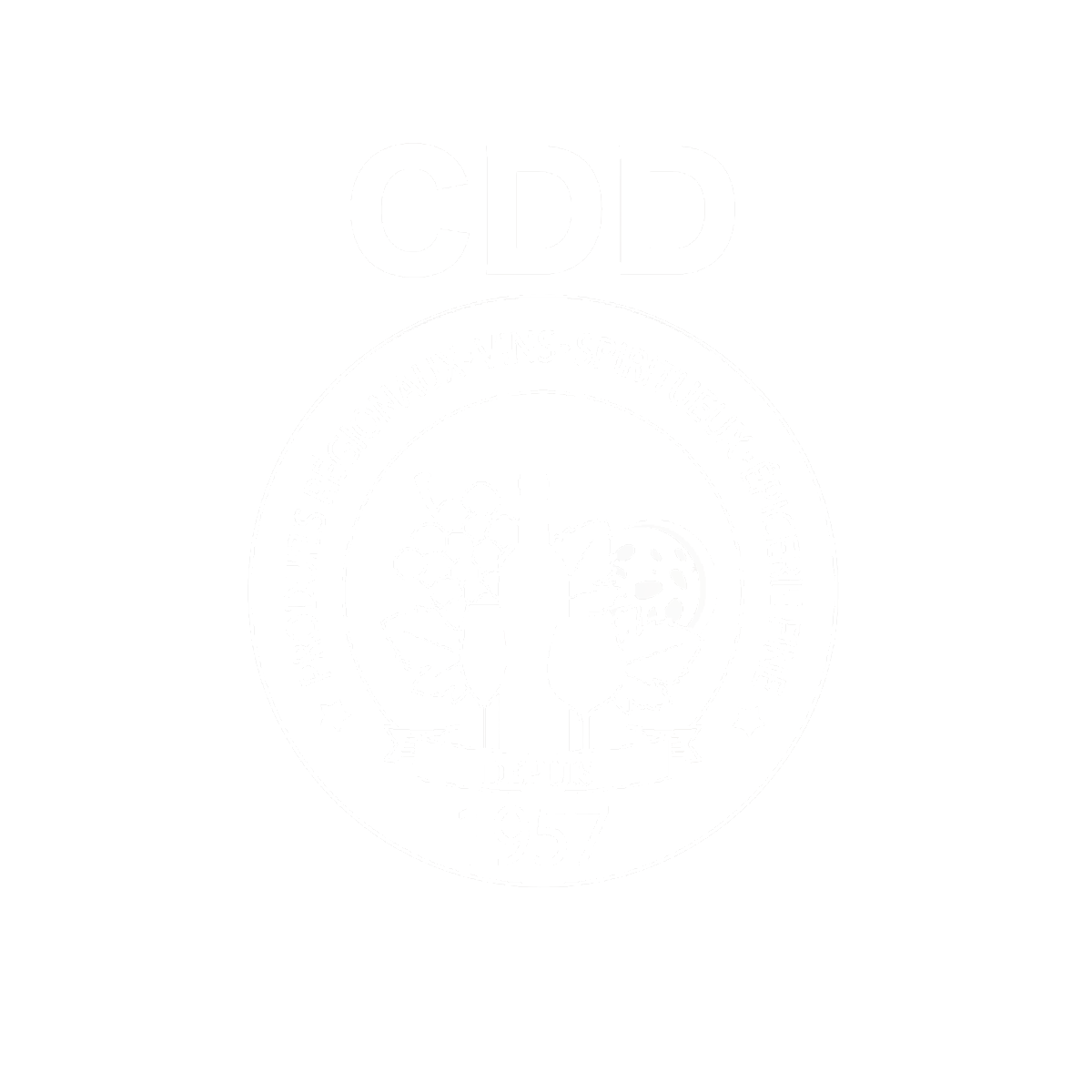 cddsud logo blanc