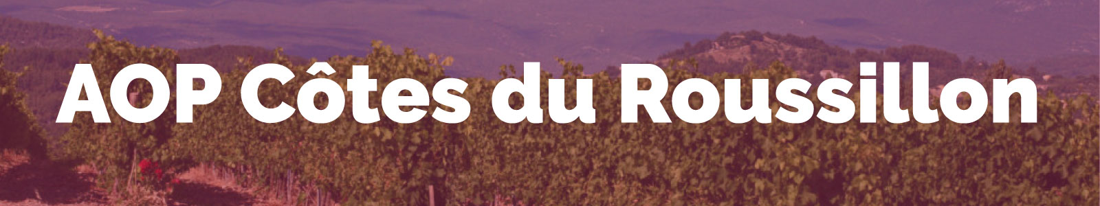 Bannière Côte du Roussillon