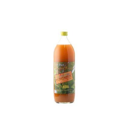 NECTAR D'ABRICOTS, 1L