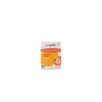 GOMMES DE PROPOLIS ET GINGEMBRE BIO 45 Grs Apimab