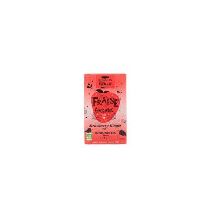 INFUSION FRAISE/GINGEMBRE, 16 SACHETS