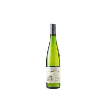 RIESLING, DOMAINE DE LA FERRANDIERE