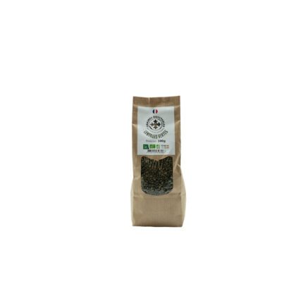 LENTILLES VERTES BIO 500grs Graines Equitables