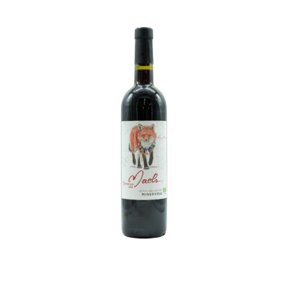 DOMAINE DES MAELS