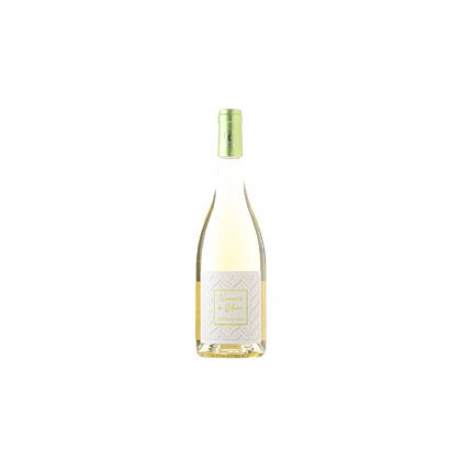 TRADITION BLANC