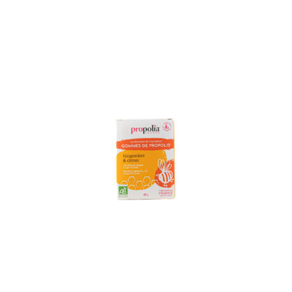 GOMMES DE PROPOLIS ET GINGEMBRE BIO 45 Grs Apimab
