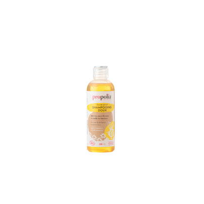 SHAMPOING DOUX BIO MIEL BAMBOU BIO 200 ml Apimab