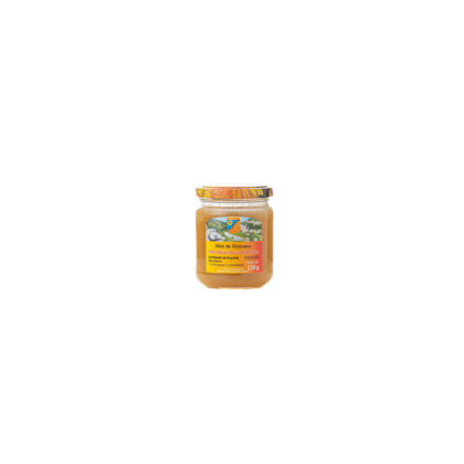 MIEL ROMARIN 250 GRS POUDOU
