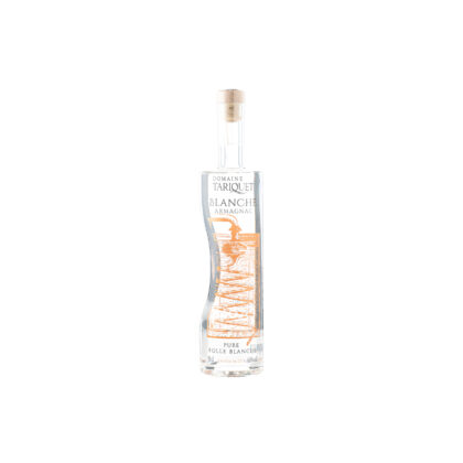 BLANCHE ARMAGNAC - DOMAINE TARIQUET 70CL