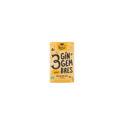 INFUSION 3 GINGEMBRES, 16 SACHETS