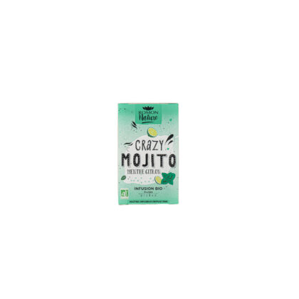 INFUSION CRAZY MOJITO MENTHE/CITRON, 16 SACHETS