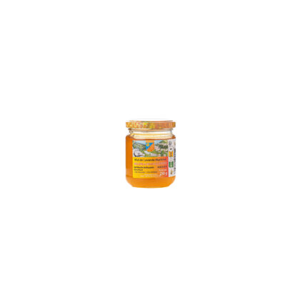 MIEL DE LAVANDE 250G MOULIN BOYSEDE